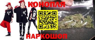 гидра Новодвинск