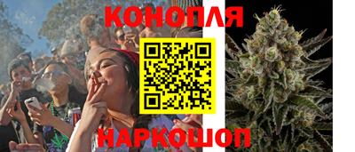 гидра Новодвинск