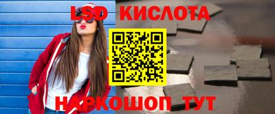 гидра Новодвинск