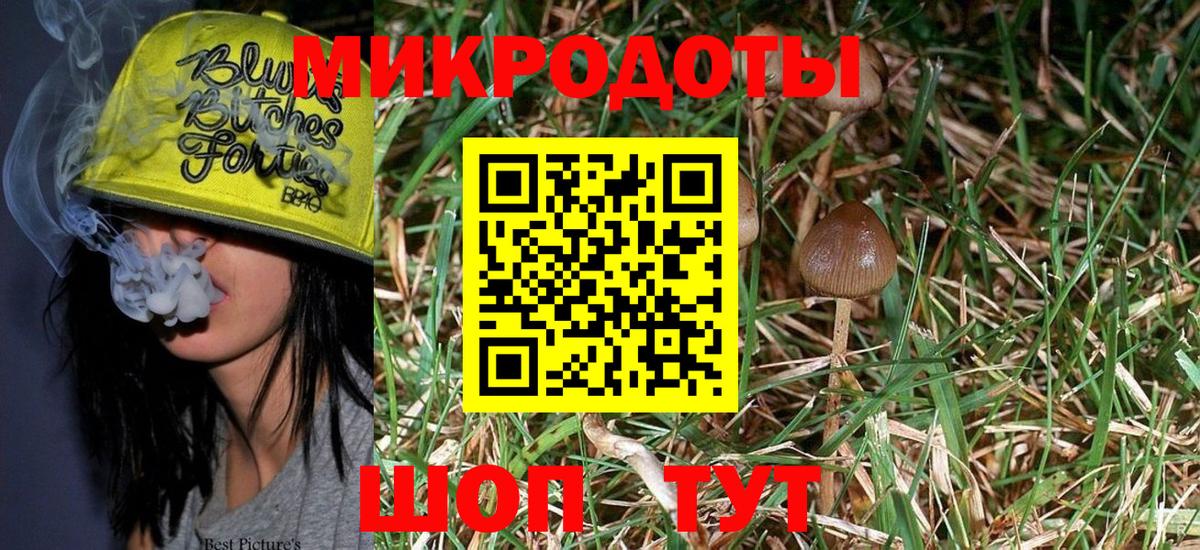 Галлюциногенные грибы мухоморы  Псилоцибиновые грибы MAGIC MUSHROOMS  Светлоград  Вход с VPN 