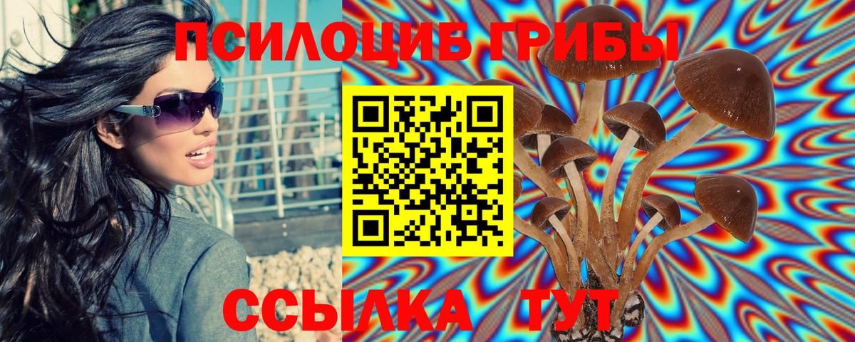 Галлюциногенные грибы Cubensis Светлоград