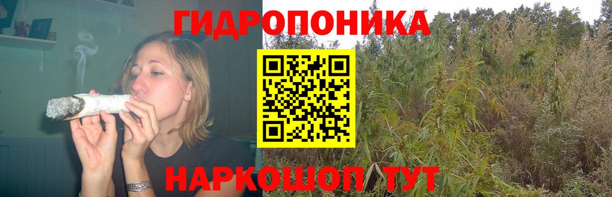 Шишки марихуана конопля  Каннабис марихуана  Светлоград  Шишки марихуана семена  Вход с VPN 